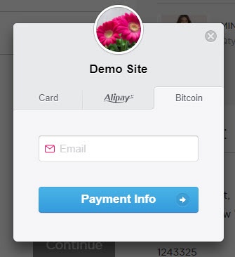 Documentation > 2. Stripe Payment Gateway User Guide > Iframe bitcoin.jpg