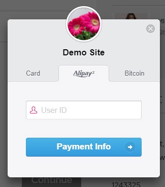 Documentation > 2. Stripe Payment Gateway User Guide > iframe alipay.jpg